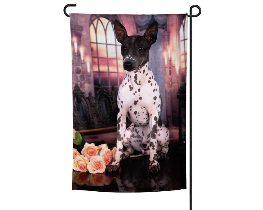 American Hairless Terrier Garden Flag