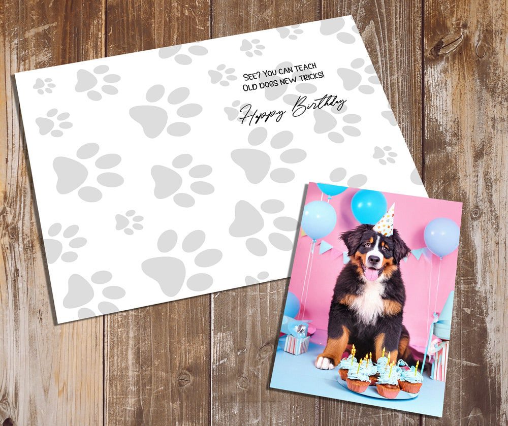 Bernese Mountain Dog Greeting Cards