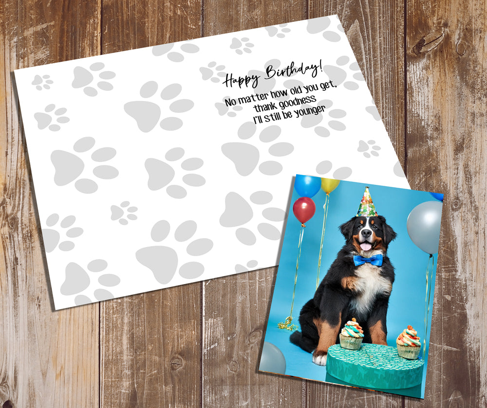 Bernese Mountain Dog Greeting Cards