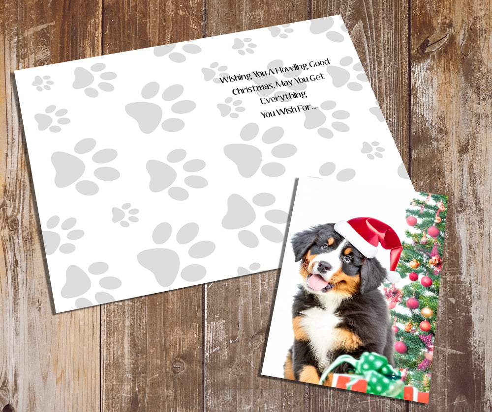 Bernese Mountain Dog Greeting Cards