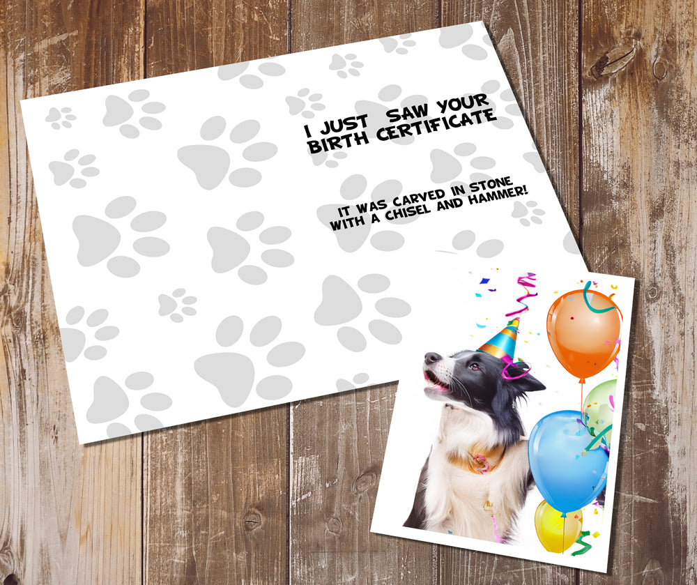 Border Collie Greeting Cards