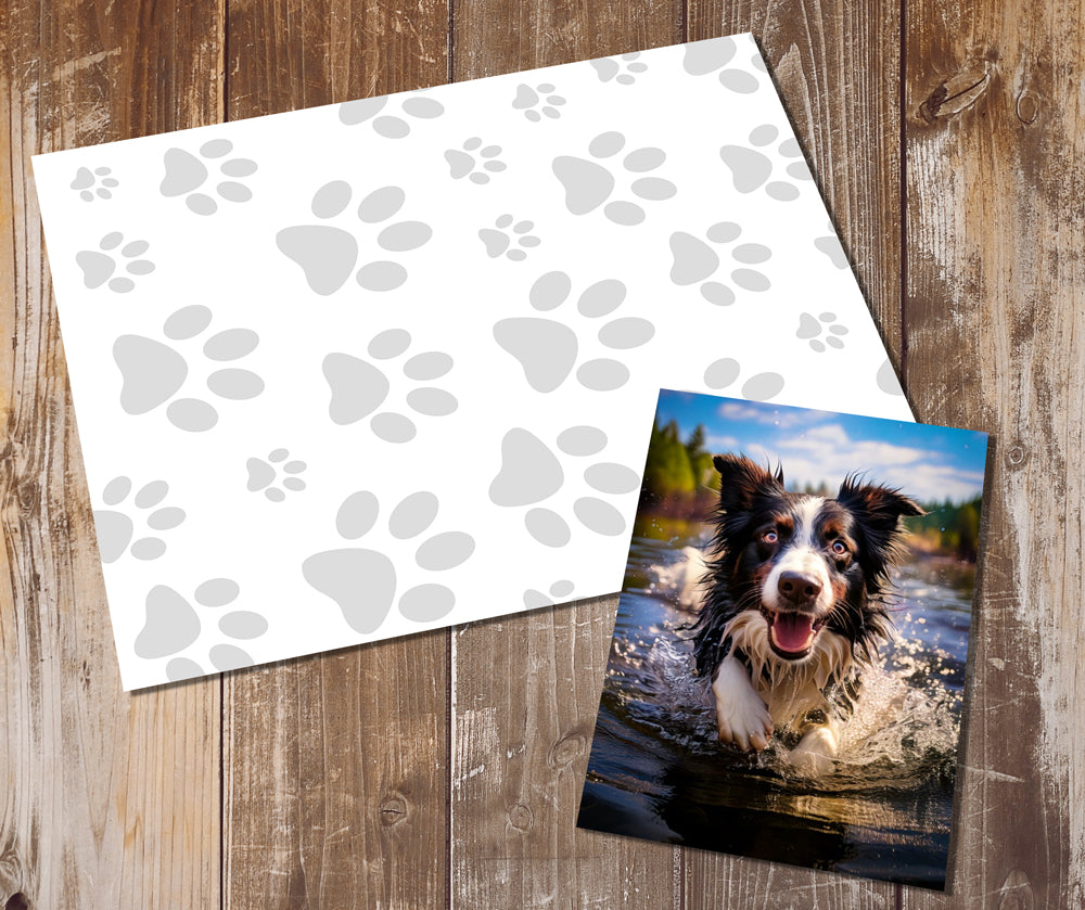 Border Collie Greeting Cards