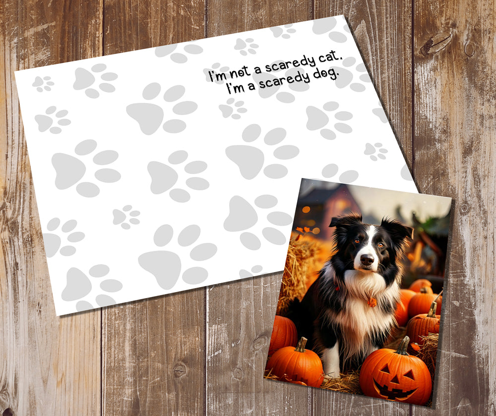 Border Collie Greeting Cards