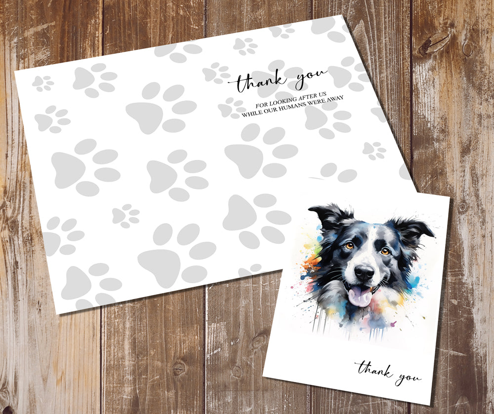 Border Collie Greeting Cards