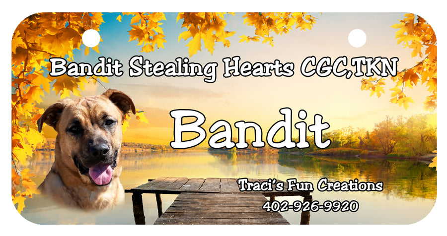 Personalized Dog Crate ID Tag - Dock Diving