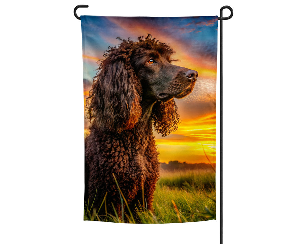 Irish Water Spaniel Garden Flag