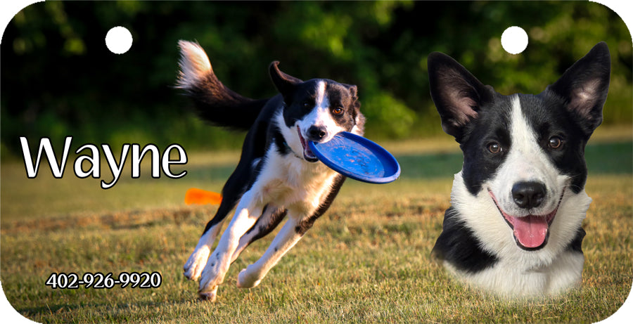 Personalized Dog Crate ID Tag