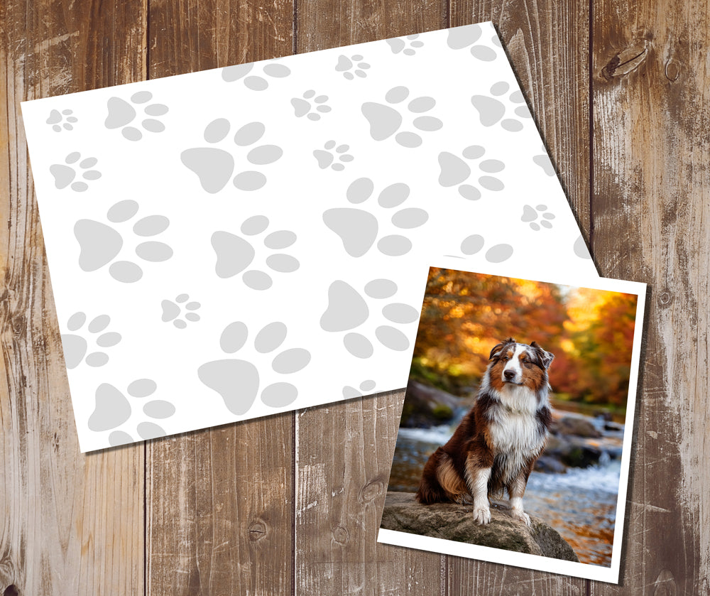 Australian Shepherd Greeting Cards