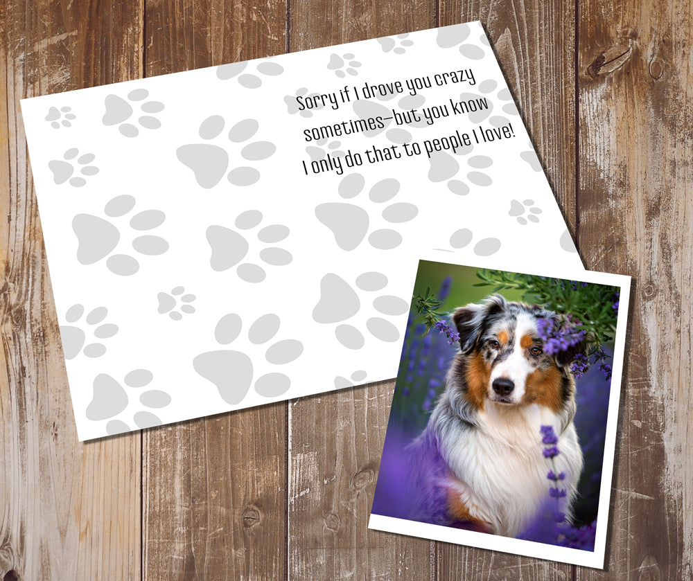 Australian Shepherd Greeting Cards