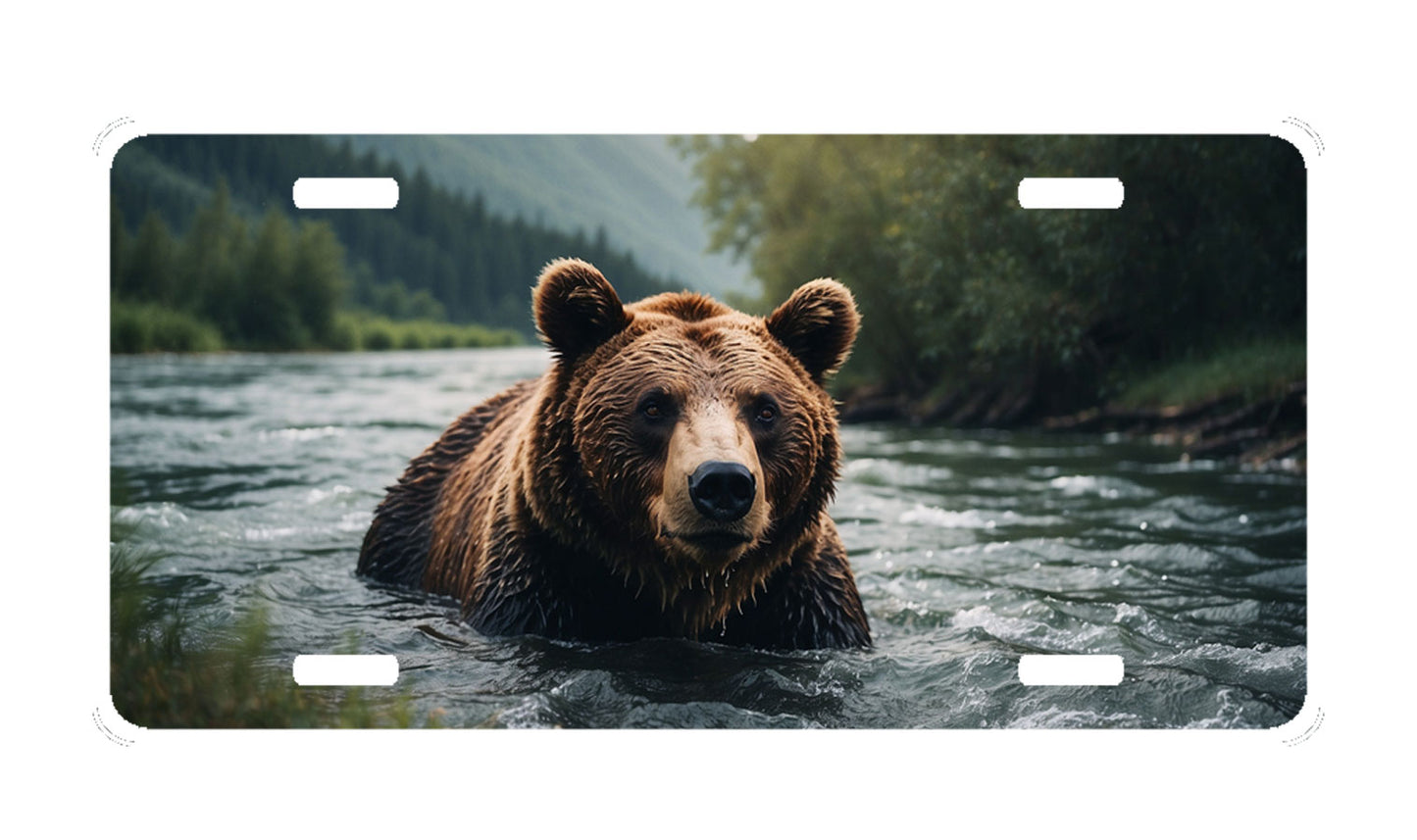 Bear License Plate