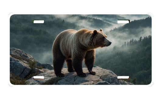 Bear License Plate