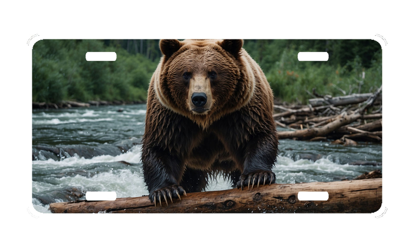 Bear License Plate