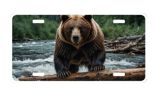 Bear License Plate