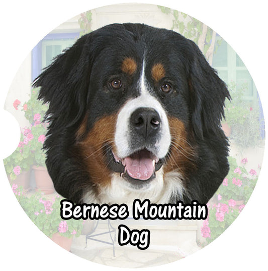 Bernese Mountain Dog Car Coaster