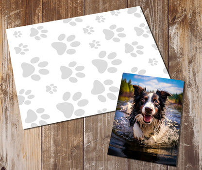 Border Collie Greeting Cards