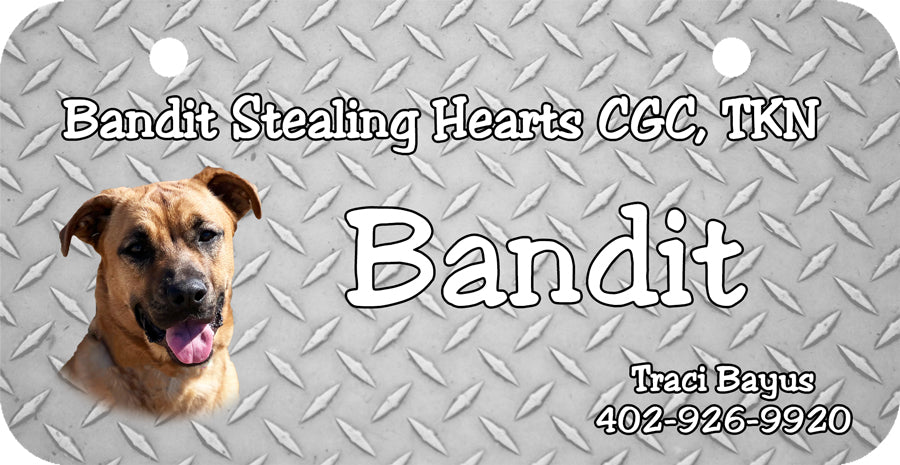 Personalized Dog Crate ID Tag