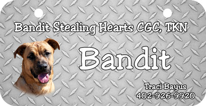 Personalized Dog Crate ID Tag