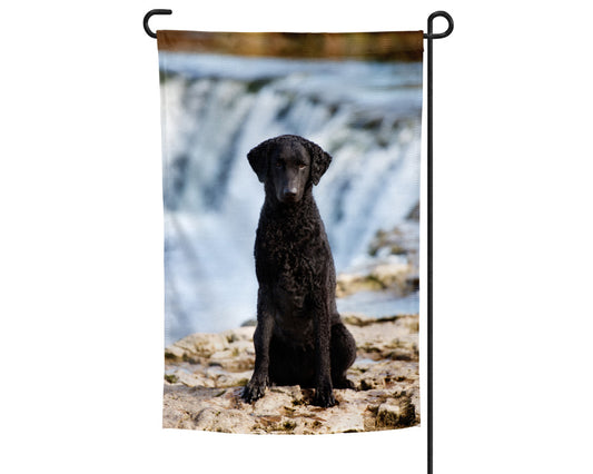 Curly Coated Retriever Garden Flag