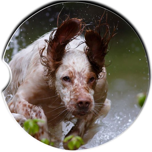 English Setter Car Coaster