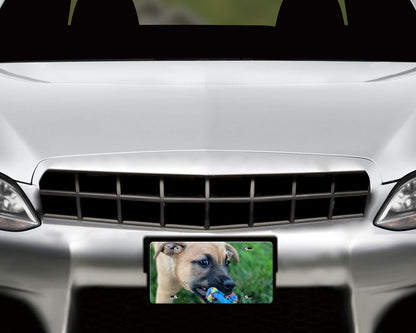 Custom Photo License Plate, Personalized Automotive Tag
