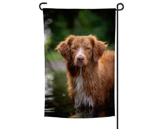 Nova Scotia Toller Garden Flag