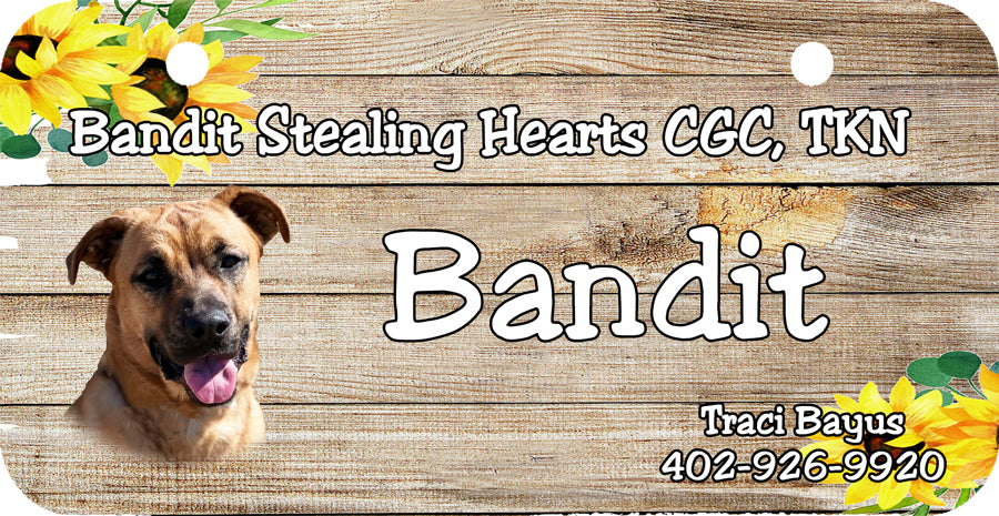 Personalized Dog Crate ID Tag